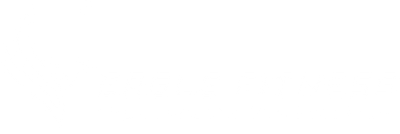 EagleFitnessStore